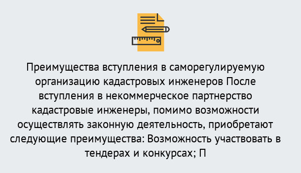 Почему нужно обратиться к нам? Барабинск Что дает допуск СРО кадастровых инженеров?