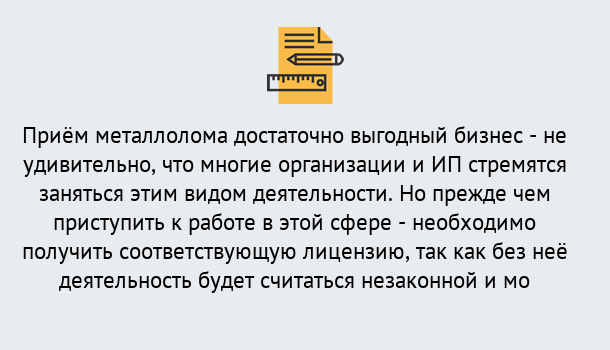 Почему нужно обратиться к нам? Барабинск Лицензия на металлолом. Порядок получения лицензии. В Барабинск