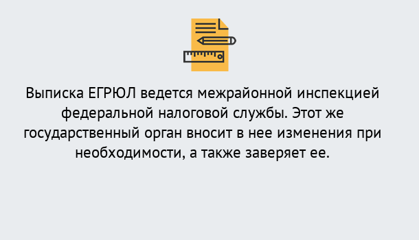 Почему нужно обратиться к нам? Барабинск Выписка ЕГРЮЛ в Барабинск ?