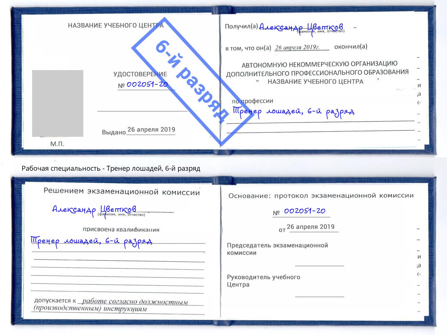 корочка 6-й разряд Тренер лошадей Барабинск