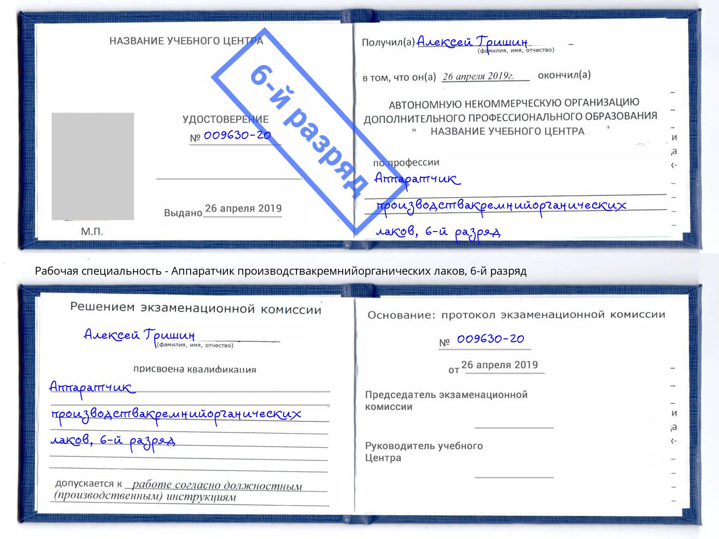 корочка 6-й разряд Аппаратчик производствакремнийорганических лаков Барабинск